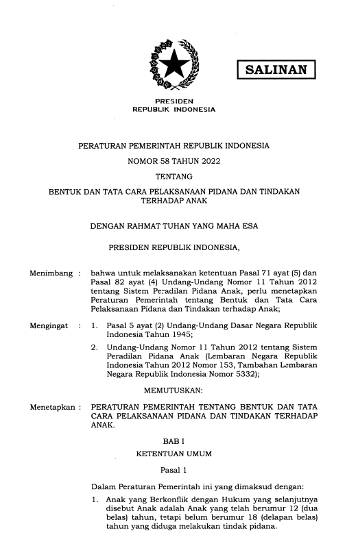 Peraturan Pemerintah Nomor 58 Tahun 2022 tentang Bentuk dan Tata Cara Pelaksanaan Pidana dan Tindakan terhadap Anak